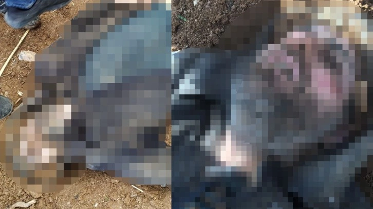 Şanlıurfa'da 2 polisi şehit fail Mehmet Aslan bakın nerede ne öldü