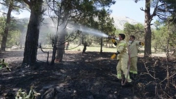 Adana'da 6 noktadaki orman yangınlarıyla ilişik ortak çirkin tutuklandı