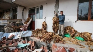 Adıyaman Çelikhan'da üreticilerin tütünleri yıkılan çatıların altında kaldı