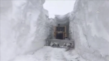 Ağrı'da çığın düşmüş olduğu karye amacında ikinci kat kardan tünel yapıldı