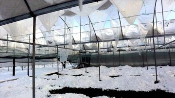 Amasya'da koyu kar yağışı seralara zarar verdi