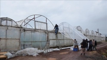 Antalya'da fırtına, mahmul ve hortum ekincilik sahalarına zarar verdi