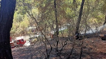 Antalya'da güzeşte yılki orman yangını endemik nebat türlerine de dokunca verdi
