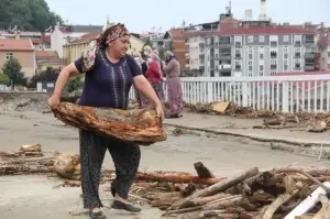 Ayancık'ta vatandaşlar kışlık odununu selden topladı