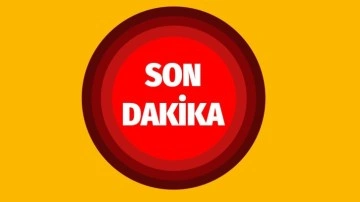 Bakan Kirişçi Datça'daki yangının nedenini açıkladı