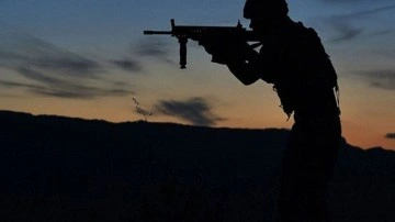 Barış Pınarı'nda 2 PKK'lı kuvvetsiz duruma getirildi