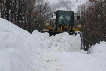 Bingöl’de kar 65 köy yolunu ulaşıma kapattı