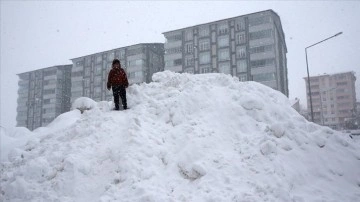 Bitlis'te site merkezi ve 4 ilçede okullara 1 günce kar tatili