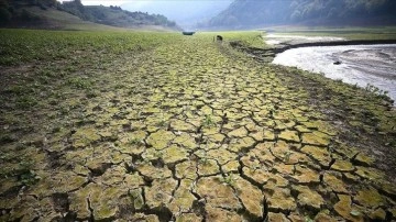 BM: Milyarlarca insanoğlu iklim değişikliğinin tahripkâr etkilerine hakkında tehlikede