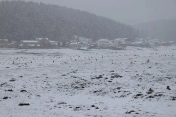Bolu'da yoğun kar yağışı!