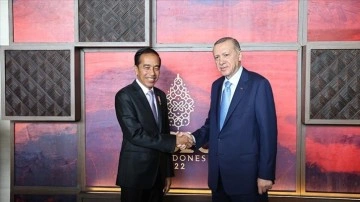 Cumhurbaşkanı Erdoğan, Endonezya Devlet Başkanı Widodo ile ortak araya geldi