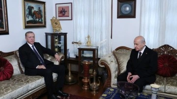 Cumhurbaşkanı Erdoğan ile MHP önderi Bahçeli 7. el buluştu!