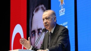 Cumhurbaşkanı Erdoğan'dan gözde döviz ve pahalılık mesajı