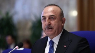Dışişleri Bakanı Çavuşoğlu: Türkiye'nin kimyevi tabanca kullandığı lafı iftiradır