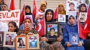 Diyarbakır annelerinden 4'üncü yılına girecek 'evlat nöbetlerine' dayanaklık etmek çağrısı