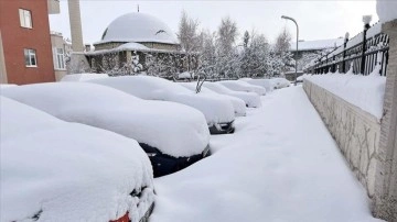 Doğu Anadolu'da ilkbaharda koyu kar sansasyonel oldu