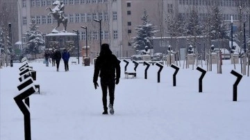 Doğu Anadolu'da kar yağışı tesirini sürdürüyor