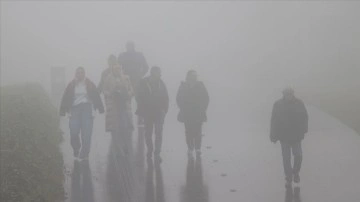 Edirne'de koyu sis can alıcı oluyor