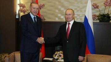 Erdoğan, Putin ile Türkiye-Rusya ilişkileri ve diyalekt mevzuları görüştü
