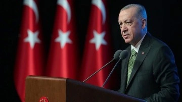 Erdoğan'dan partililere İstanbul talimatı: 98 vekilliğin yarısından fazlasını tığ alalım
