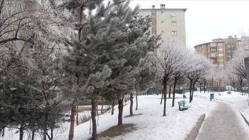 Erzurum ve Ardahan'da soğuk hava sansasyonel oluyor