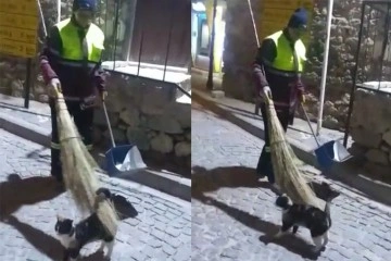 Hem çevreyi temizliyor bununla birlikte sokak kedisine süpürgesi ile masaj yapıyor