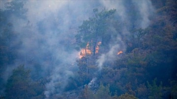İçişleri Bakanlığı, orman yangınlarına hakkında valilikleri baştan uyardı