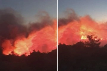 İzmir’de orman yangını: oldukça çok ekip müdahale ediyor