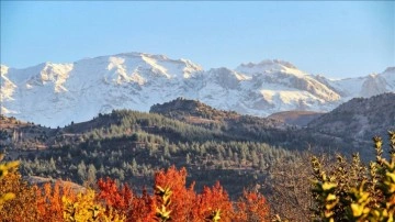 Kahramanmaraş'ta mevsimin ilk eş Berit Dağı'na düştü