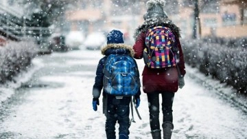 Kar bitik bastırdı 7 ilde okullar dinlence edildi! İşte dakika tahsile açıklık maruz şehirler