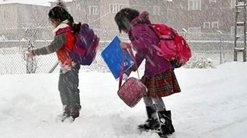 Kar okulları dinlence ettirdi! Van'da 3 ilçede kar yağışı zımnında taşımalı öğrenime aralık verildi