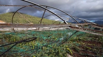 Karadeniz'de doğal afetlerde dokunca gören çiftçilere 50 milyon liralık ifa yapıldı