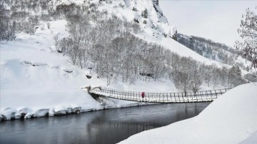 Kışın güzelliklerini yansıtan Tunceli fotoğrafçıların yol uğrağı noktayı oldu