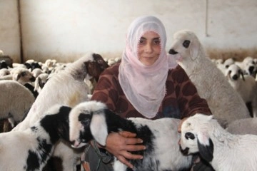 Köye yerleşen 3 çocuk annesi kadın devletten aldığı destekle çiftlik kurdu