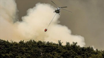 Manavgat'ta çakmakla orman yangını çıkaran sanığa 15 sene delik cezası