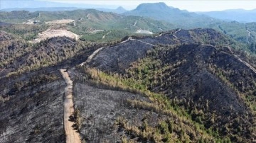 Marmaris'te yanan orman endüstrisi açıktan görüntülendi