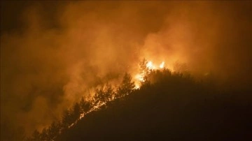 Marmaris'teki orman yangınına karışma sürüyor