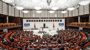 Meclis'ten Kazakistan'a dayanak açıklaması