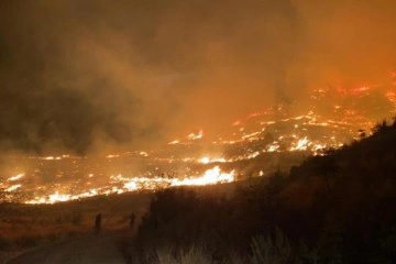 Muğla’da gece başlayan orman yangınını söndürme emek harcamaları devam ediyor