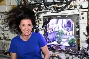 Nasa Astronotu: 'Uzayda Biber Fideleri Çiçek Açtı'