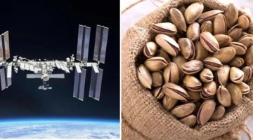 NASA uzayda fıstık kabuğu buldu! Kabuğu kimin attığı araştırılıyor