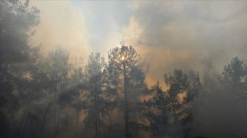 Orman yangınlarına 'yapay zeka' ile çabucak tespit