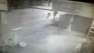 Osmaniye’de köpeğin çocuğa saldırması düzenlilik kamerasında