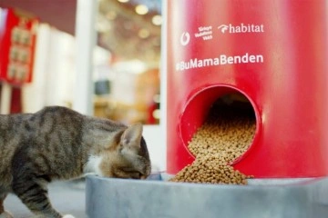 Pet shop alışverişi sokak hayvanları düşüncesince mamaya dönüşüyor