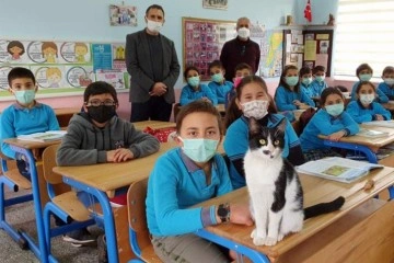 Soğukta okula sığınan kediye öğrenciler sahip çıktı
