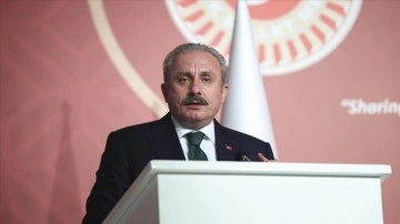 TBMM Başkanı Şentop: Türkiye, sonuç 7 senedir dünyada en aşkın sığınmacıya ev sahipliği fail ülke