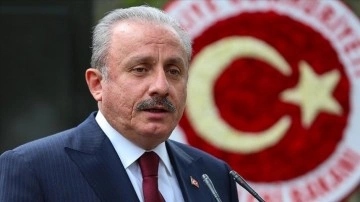 TBMM Başkanı Şentop: Türkiye'de acemi müşterek kanun kesinlikle yapılacak