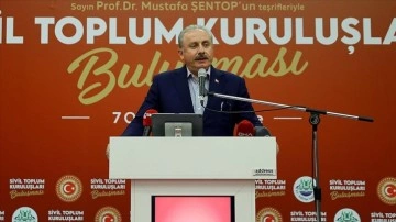 TBMM Başkanı Şentop: Türkiye'nin dünkü dünyaya müheyya olması lazım