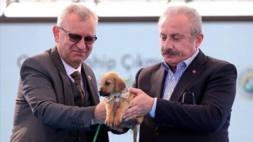 TBMM Başkanı Şentop'a sığınak açılışında çıkmaz köpeği bağış edildi