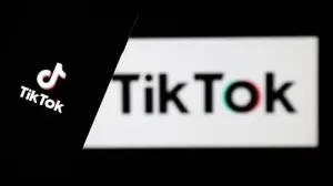 TikTok 2020'nin en çok indirilen uygulaması oldu